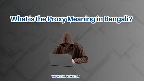   What is the Proxy Meaning in Bengali