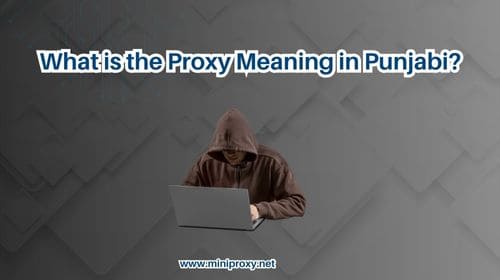 What is the Proxy Meaning in Punjabi