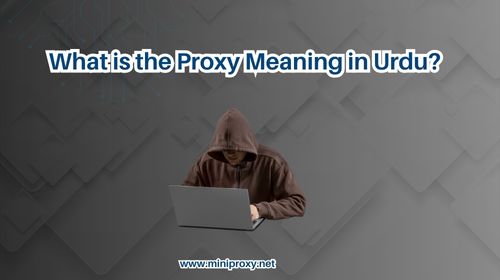   What is the Proxy Meaning in Urdu